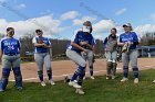 Softball vs Babson  Wheaton College Softball vs Babson College. - Photo by Keith Nordstrom : Wheaton, Softball, Babson, NEWMAC